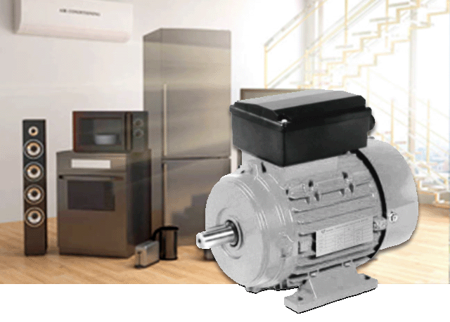 Single-phase Asynchronous Motor