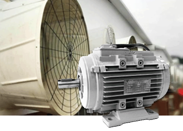 Fan Motor for Animal Husbandry