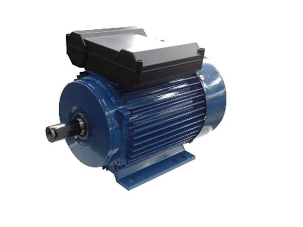 YL series dual capactior single phase motor
