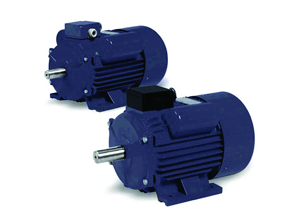 capacitor start induction single phase motor